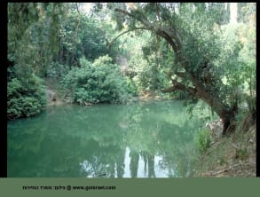 ירדנית%20-%20אתר%20טבילה%20ומסעדה%20,%20כנרת-קיבוץ